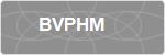 BVPHM