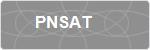 PNSAT