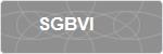 SGBVI