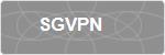 SGVPN