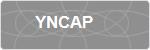 YNCAP